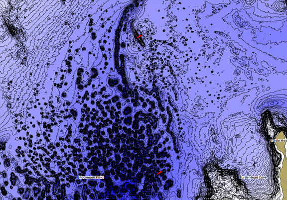 ChartSelect's contour preview for LakeMaster Legacy Northeast States V2 LakeMaster Legacy Region